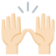 PERSON RAISING BOTH HANDS IN CELEBRATION emoji with light skin tone skin tone