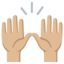 PERSON RAISING BOTH HANDS IN CELEBRATION emoji with medium-light skin tone skin tone