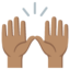 PERSON RAISING BOTH HANDS IN CELEBRATION emoji with medium skin tone skin tone