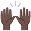 PERSON RAISING BOTH HANDS IN CELEBRATION emoji with dark skin tone skin tone