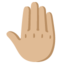 RAISED BACK OF HAND emoji with medium-light skin tone skin tone