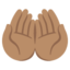 PALMS UP TOGETHER emoji with medium skin tone skin tone