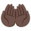 PALMS UP TOGETHER emoji with dark skin tone skin tone