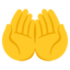 PALMS UP TOGETHER emoji in Google's design style - Unicode 1F932