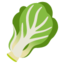 LEAFY GREEN emoji in Google's design style - Unicode 1F96C