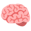 BRAIN emoji in Google's design style - Unicode 1F9E0