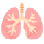 LUNGS emoji in Google's design style - Unicode 1FAC1