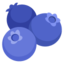 BLUEBERRIES emoji in Google's design style - Unicode 1FAD0