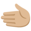 LEFTWARDS HAND emoji with medium-light skin tone skin tone