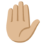 RAISED HAND emoji with medium-light skin tone skin tone