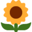 SUNFLOWER emoji in Twitter's design style - Unicode 1F33B