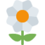 BLOSSOM emoji in Twitter's design style - Unicode 1F33C