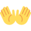 OPEN HANDS SIGN emoji in Twitter's design style - Unicode 1F450