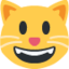 SMILING CAT FACE WITH OPEN MOUTH emoji in Twitter's design style - Unicode 1F63A