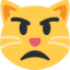 POUTING CAT FACE emoji in Twitter's design style - Unicode 1F63E