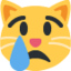 CRYING CAT FACE emoji in Twitter's design style - Unicode 1F63F