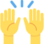 PERSON RAISING BOTH HANDS IN CELEBRATION emoji in Twitter's design style - Unicode 1F64C