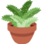 POTTED PLANT emoji in Twitter's design style - Unicode 1FAB4