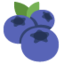 BLUEBERRIES emoji in Twitter's design style - Unicode 1FAD0